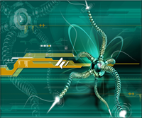 pic for web spider 960x800